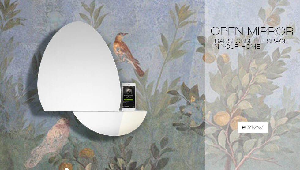 oval mirror loudspeaker